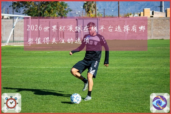 2026世界杯滚球在线平台选择有哪些值得关注的选项