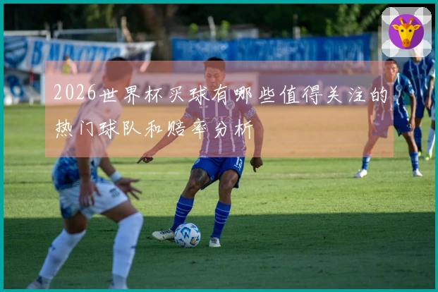 2026世界杯买球有哪些值得关注的热门球队和赔率分析