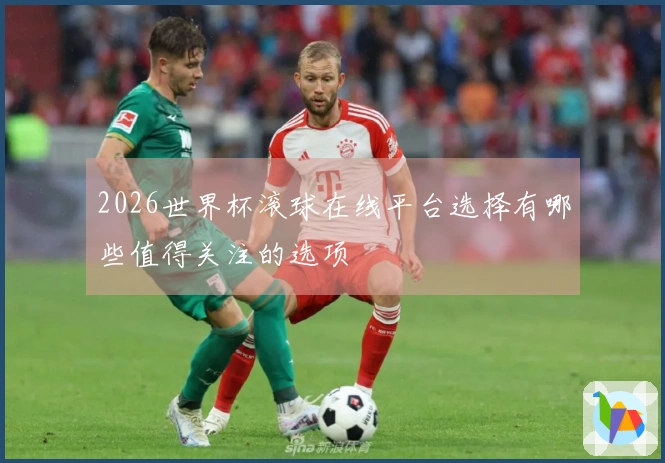 2026世界杯滚球在线平台选择有哪些值得关注的选项