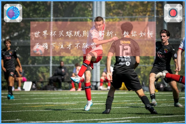 世界杯买球规则全解析，教你如何正确下注才不踩雷